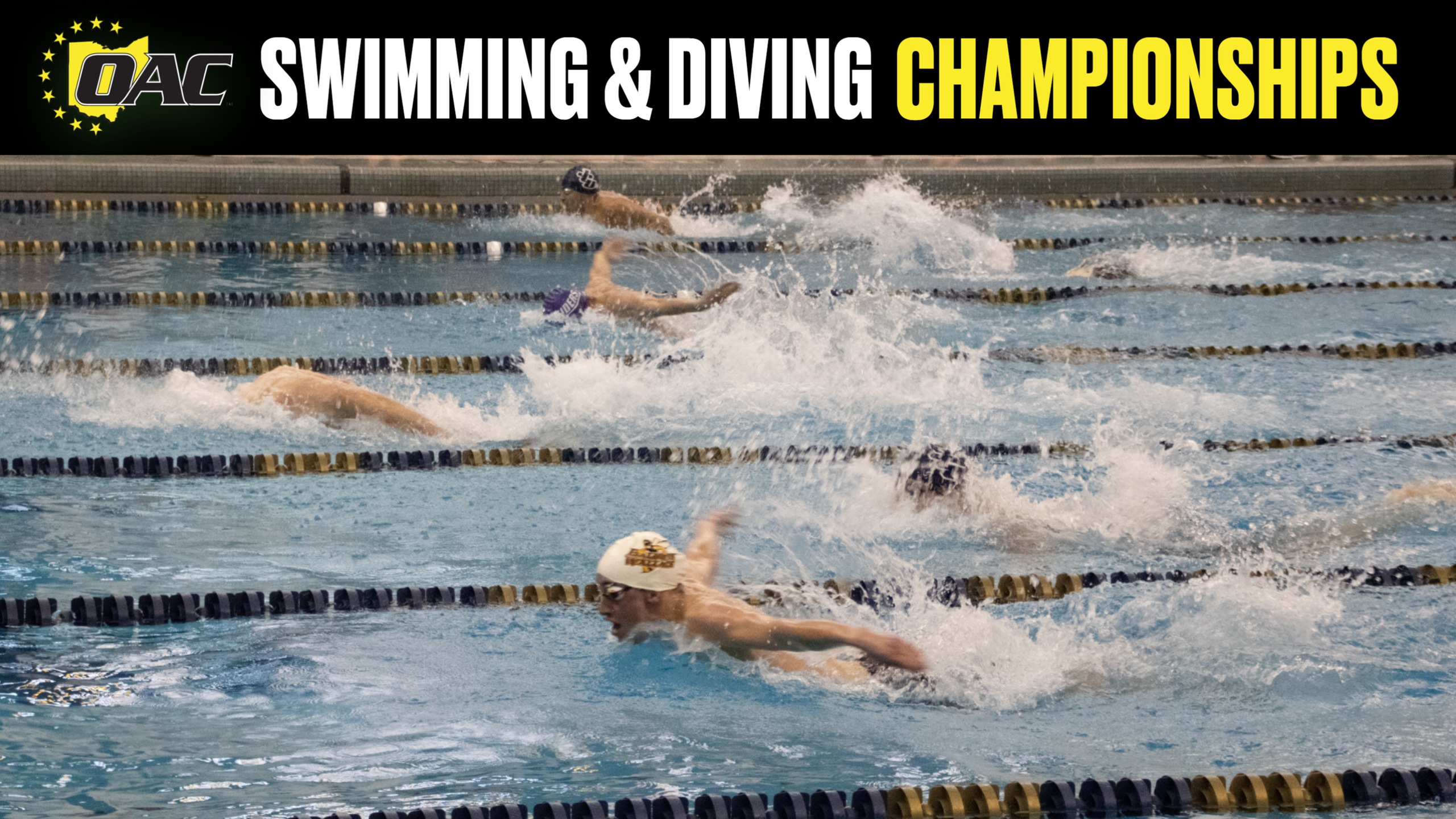 OAC Swimming &amp; Diving Championships | Day 3