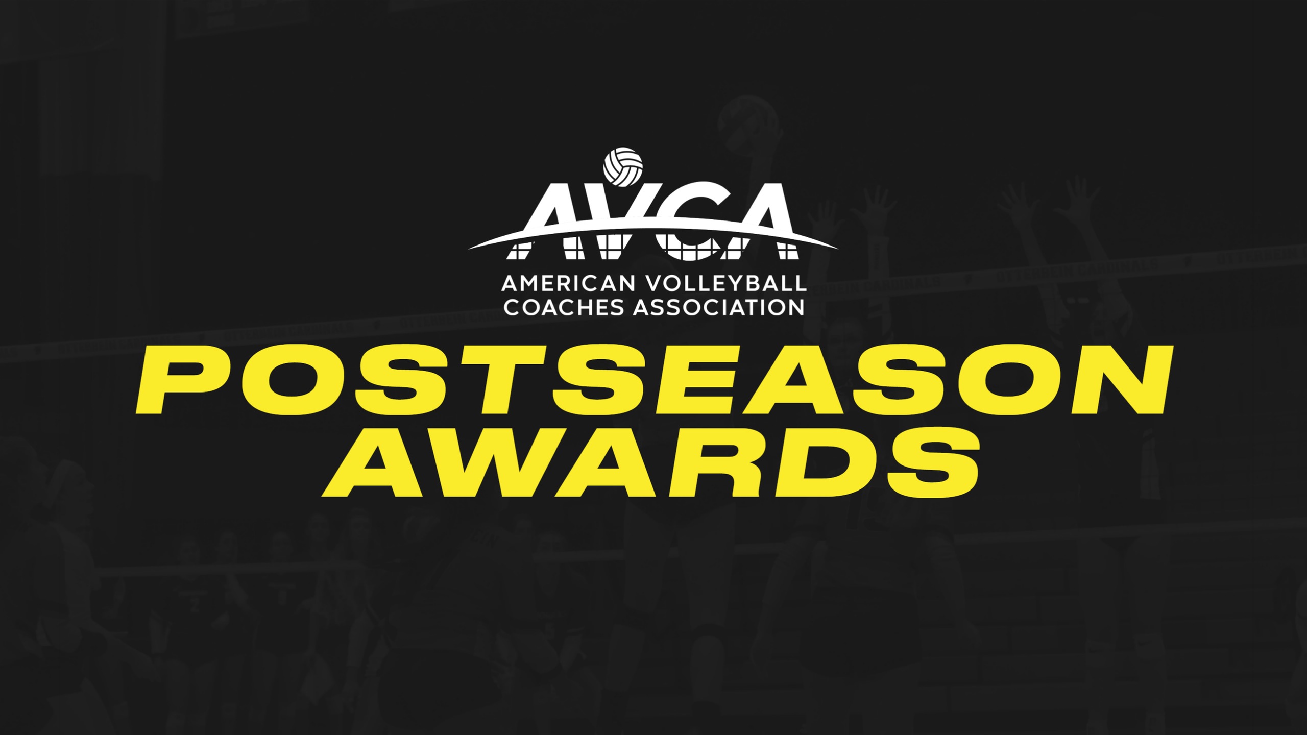 2023 AVCA Postseason Awards